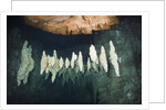 Formations in Chandelier Dripstone Cave, Micronesia, Palau by Anonymous