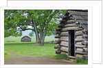 Cabin in Valley Forge National Historic Park by Anonymous