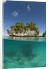 Small island off Palau, Micronesia by Anonymous