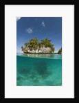 Small island off Palau, Micronesia by Anonymous