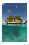 Small island off Palau, Micronesia by Anonymous