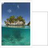 Small island off Palau, Micronesia by Anonymous