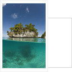 Small island off Palau, Micronesia by Anonymous