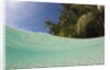 Lagoon and Palm-lined Beach, Micronesia, Palau by Anonymous