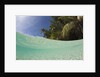 Lagoon and Palm-lined Beach, Micronesia, Palau by Anonymous