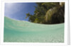 Lagoon and Palm-lined Beach, Micronesia, Palau by Anonymous