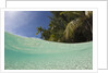 Lagoon and Palm-lined Beach, Micronesia, Palau by Anonymous