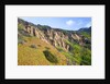 Succulent plants at Garrapata State Park on Big Sur Coast by Anonymous
