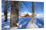 Barn below Teton Range in winter by Anonymous