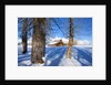 Barn below Teton Range in winter by Anonymous