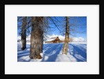 Barn below Teton Range in winter by Anonymous