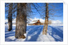 Barn below Teton Range in winter by Anonymous