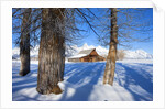 Barn below Teton Range in winter by Anonymous