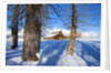 Barn below Teton Range in winter by Anonymous