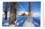 Barn below Teton Range in winter by Anonymous