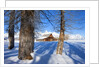 Barn below Teton Range in winter by Anonymous