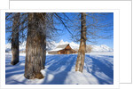 Barn below Teton Range in winter by Anonymous