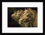 Terra cotta horse chariot, Emperor Qin Shihuangdi's Tomb, Xian, Shaanxi, China by Anonymous