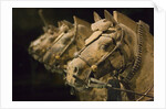 Terra cotta horse chariot, Emperor Qin Shihuangdi's Tomb, Xian, Shaanxi, China by Anonymous