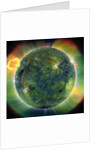 Ultraviolet image showing temperature ranges of the Sun by Anonymous