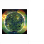 Ultraviolet image showing temperature ranges of the Sun by Anonymous