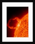 Solar flare on the Sun by Anonymous