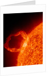 Solar flare on the Sun by Anonymous