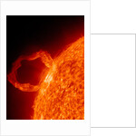 Solar flare on the Sun by Anonymous