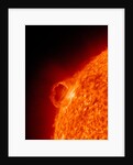 Solar flare on the Sun by Anonymous
