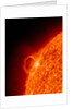 Solar flare on the Sun by Anonymous