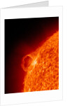 Solar flare on the Sun by Anonymous
