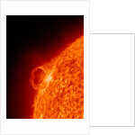 Solar flare on the Sun by Anonymous