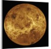 Venus by Anonymous