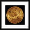 Venus by Anonymous