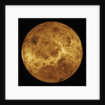 Venus by Anonymous