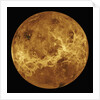 Venus by Anonymous
