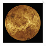 Venus by Anonymous