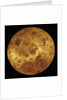 Venus by Anonymous