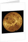 Venus by Anonymous