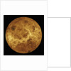 Venus by Anonymous