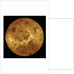 Venus by Anonymous