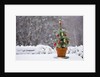Small Christmas tree by Anonymous