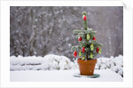 Small Christmas tree by Anonymous