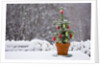 Small Christmas tree by Anonymous