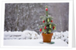 Small Christmas tree by Anonymous