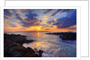 Sunset at Maui Wai or Secret Beach on Maui in Hawaii by Anonymous