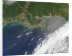 Oil spill from damaged well in Gulf of Mexico by Anonymous