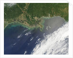 Oil spill from damaged well in Gulf of Mexico by Anonymous