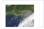 Oil spill from damaged well in Gulf of Mexico by Anonymous