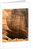 White House Ruins beneath cliff by Anonymous
